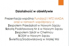 obraz7